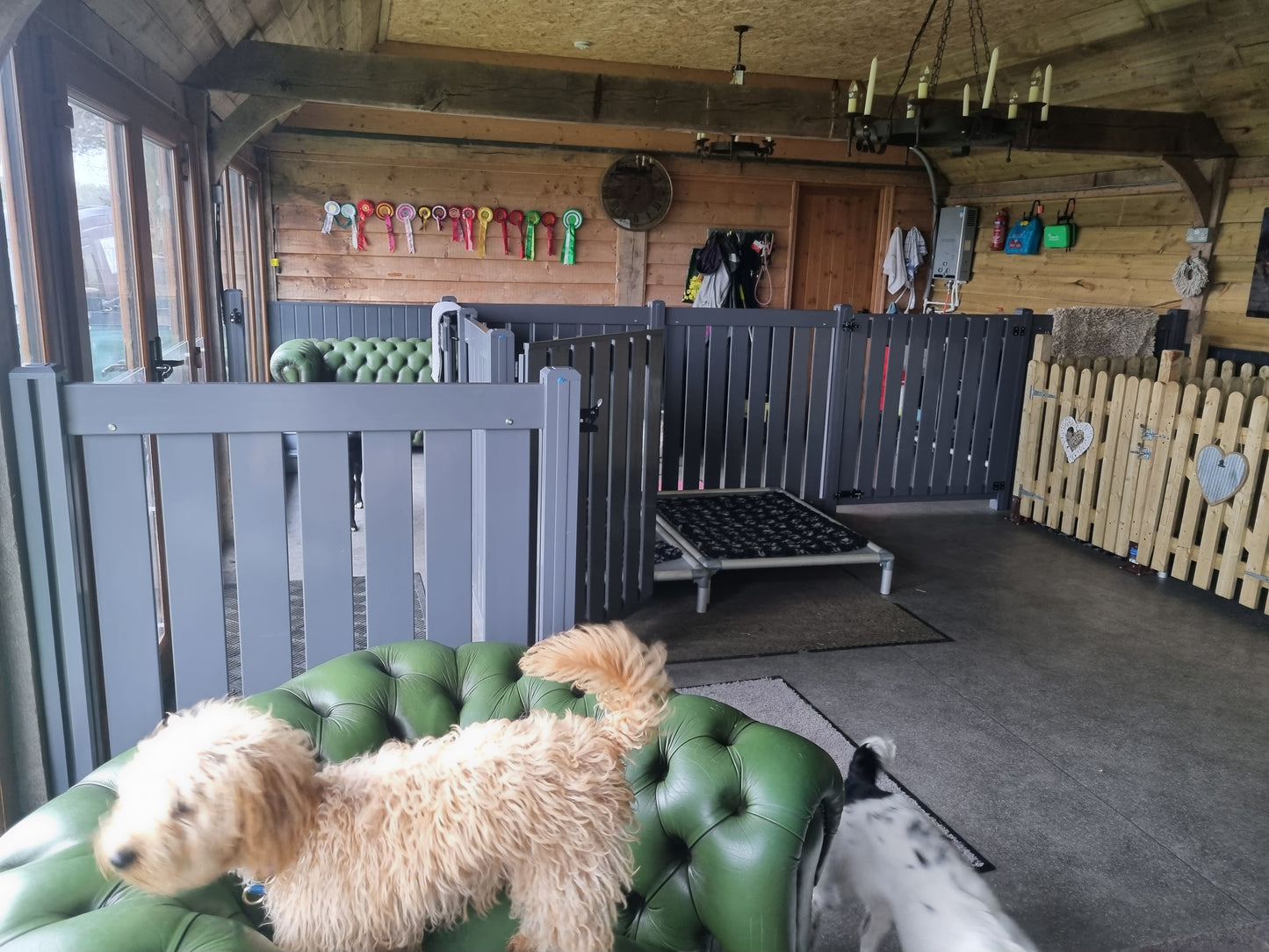 Doggy Daycare Fences and Partitions