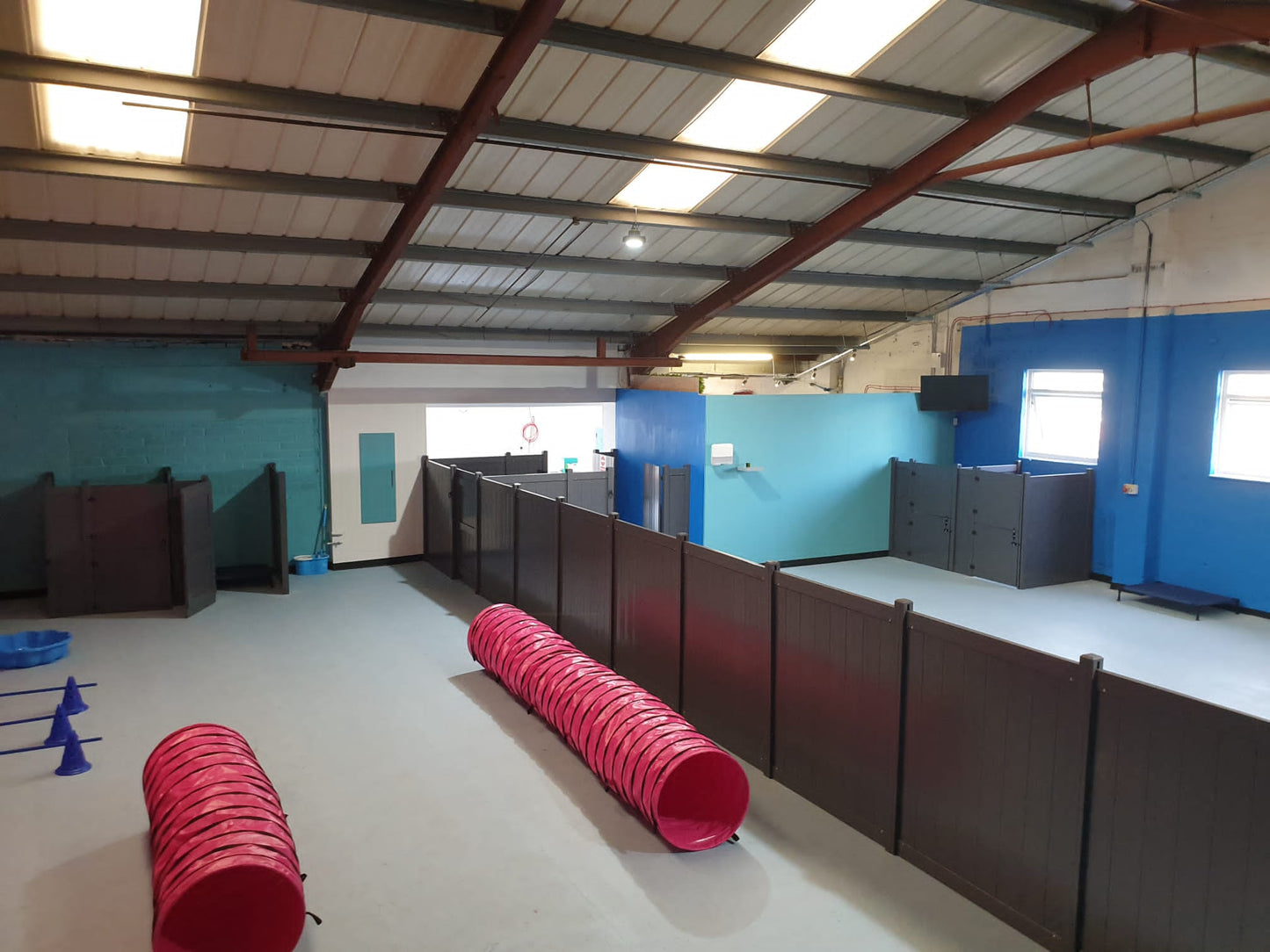 Doggy Daycare Fences and Partitions