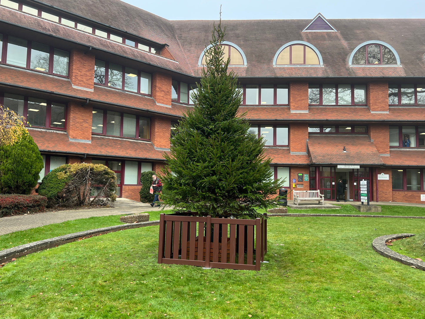 Christmas Tree Fencing