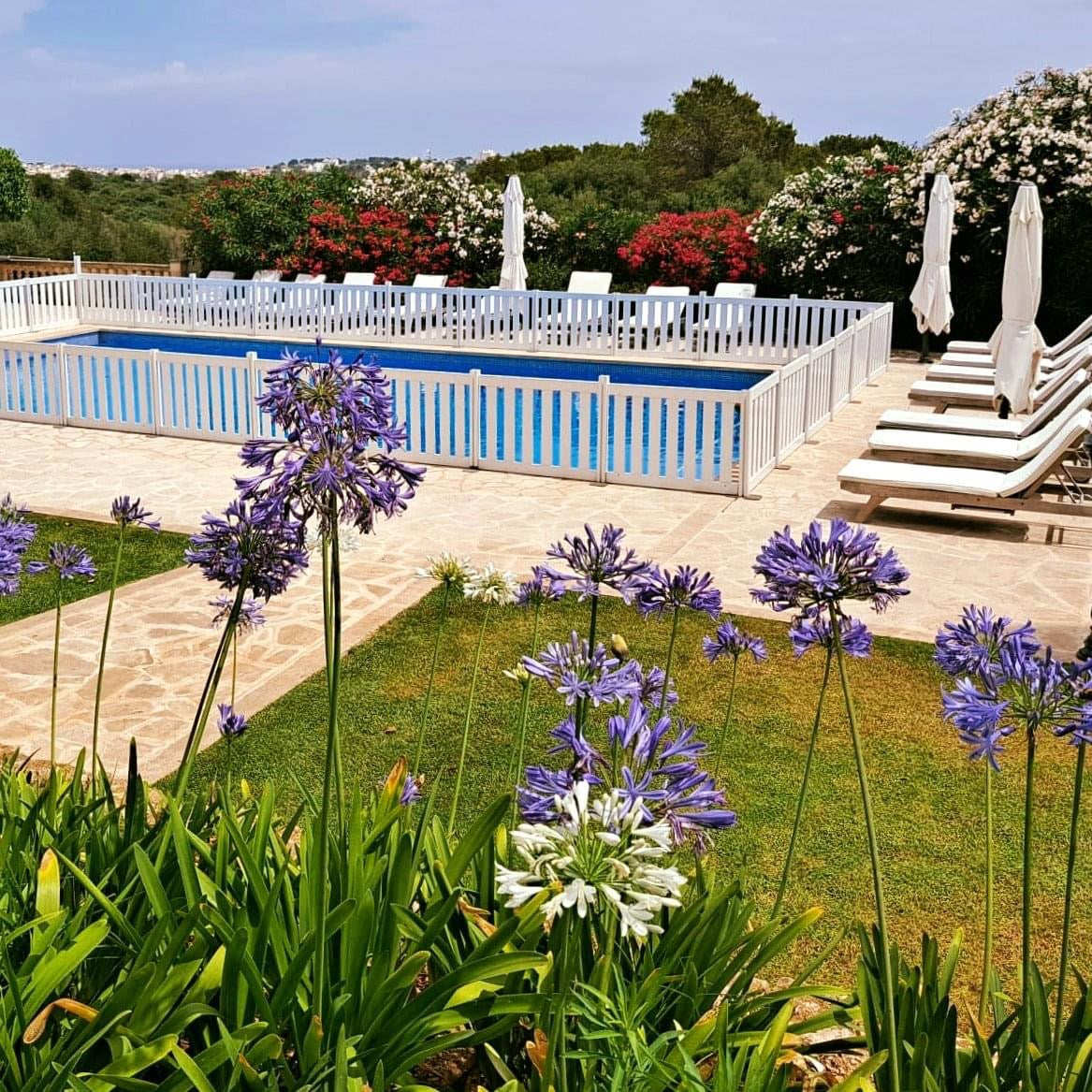 Swimming Pool Fencing