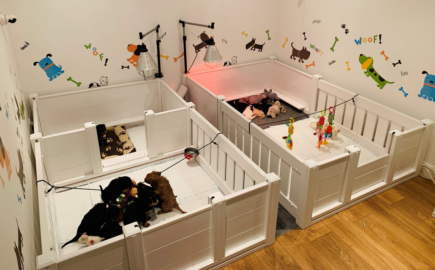 Whelping Box and Puppy Playpen