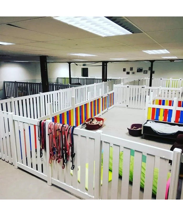Dog kennel top daycare