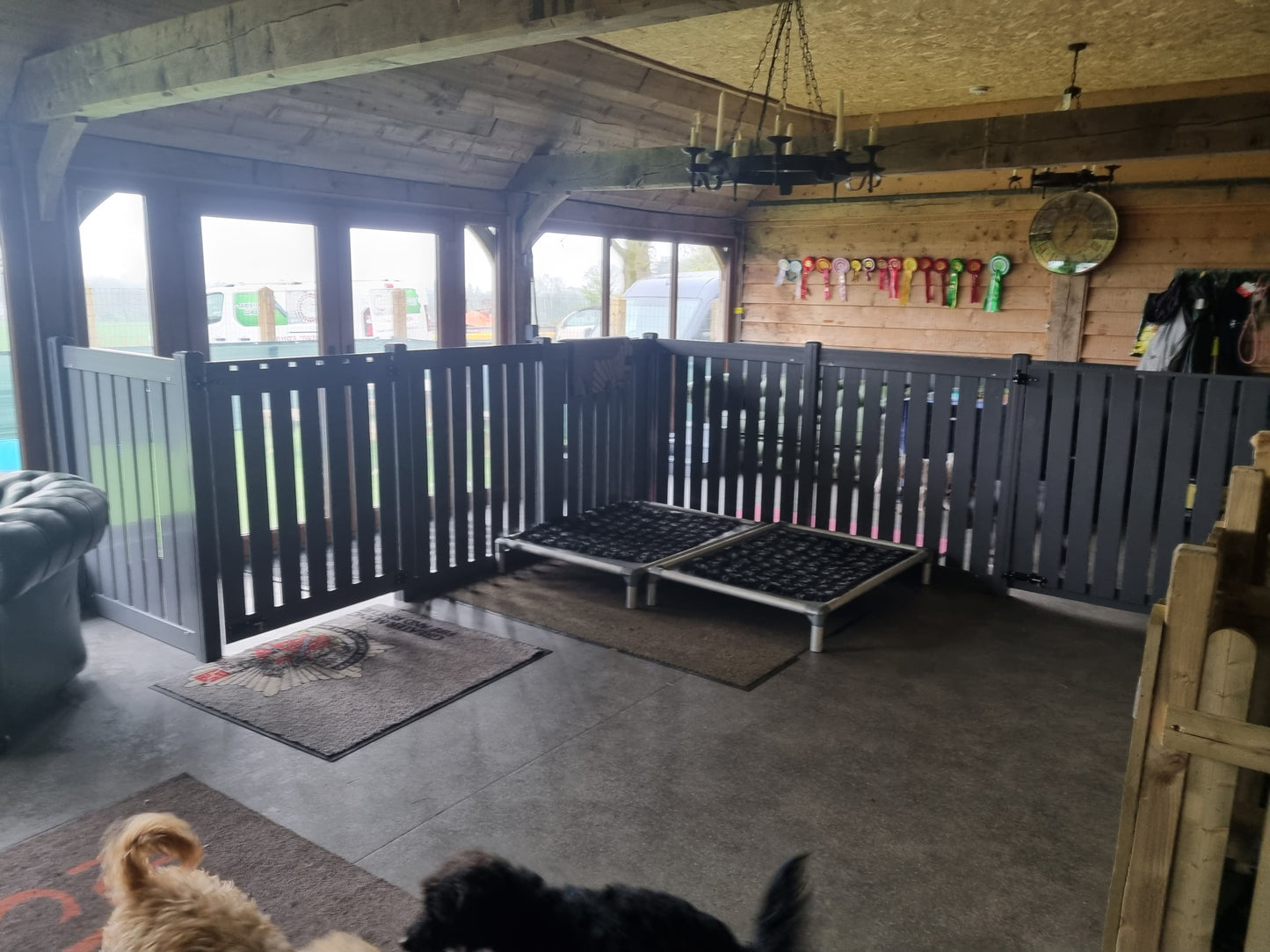 Doggy Daycare Fences and Partitions