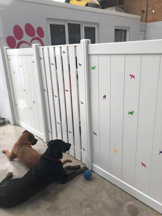Doggy Daycare Gates