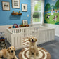 Puppy Playpen | 6 Panel