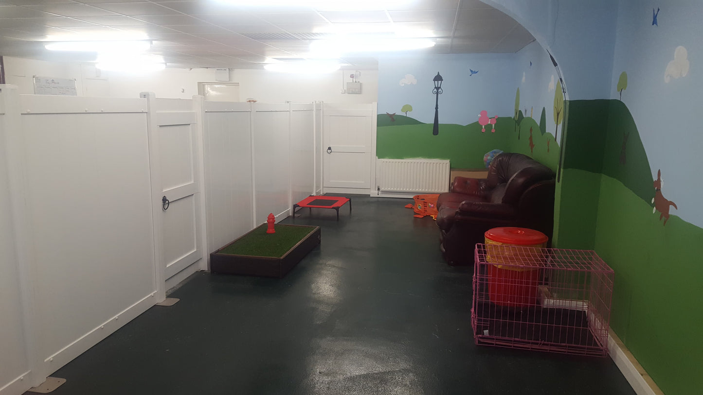 Doggy Daycare Fences and Partitions