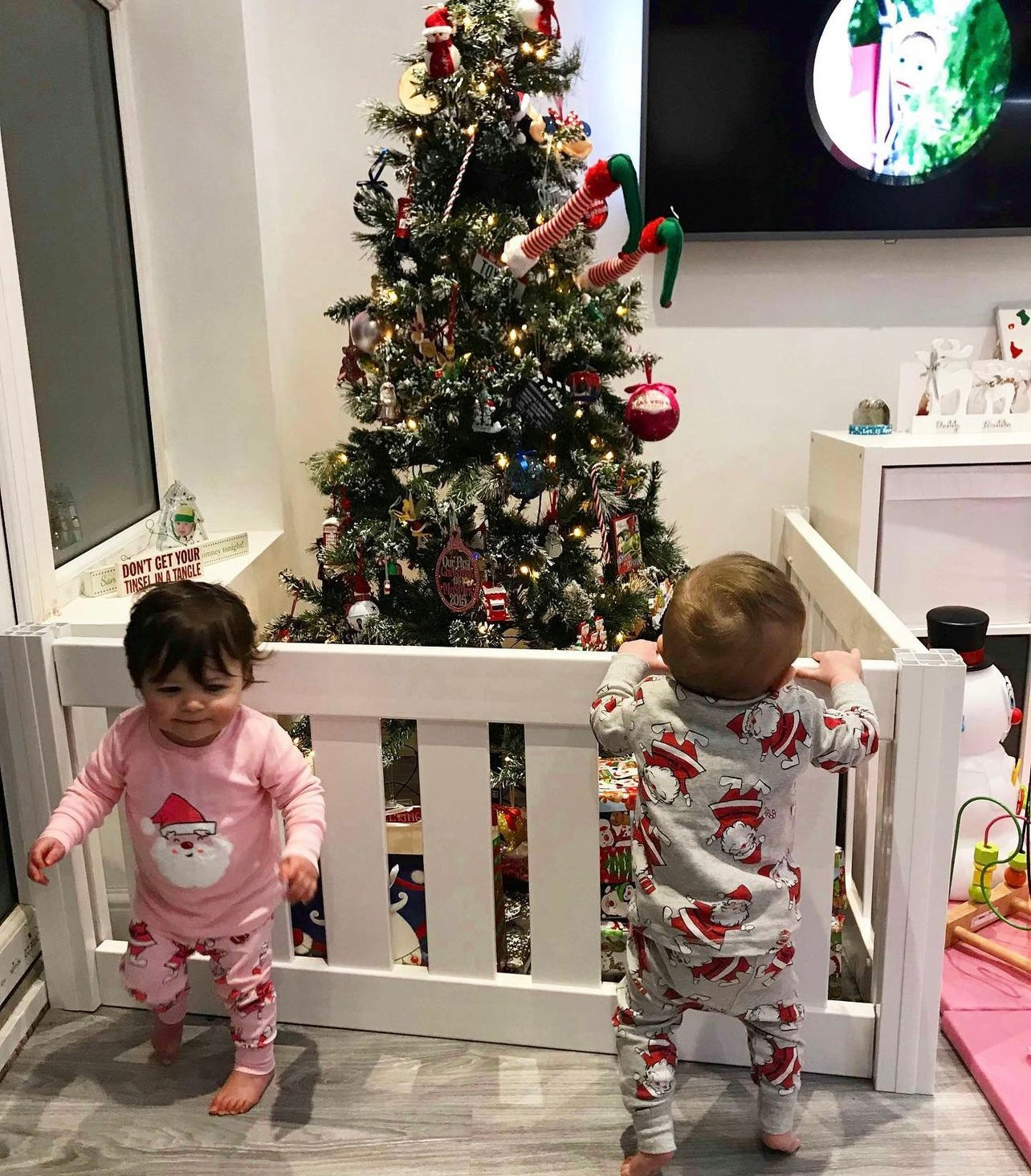 Christmas Tree Fencing